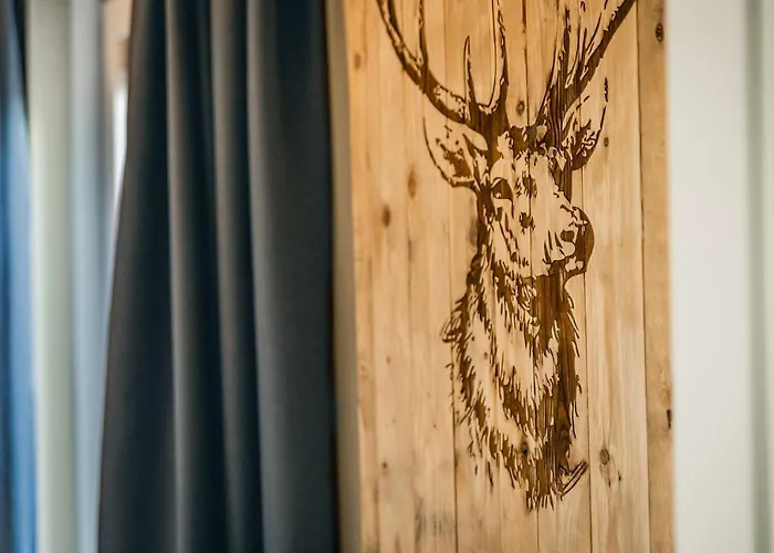 In Het Bomendorp De Veluwe Putten